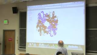 6 Biochemistry Lecture Hemoglobin from Kevin Aherns BB 350 [upl. by Nihi]