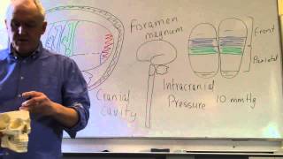 Brain and head injuries lesson 1 Introduction intracranial pressure and level of consciousness [upl. by Ranjiv289]