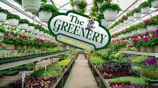 The Greenery Garden Centre  Spring Flowers [upl. by Loriner]