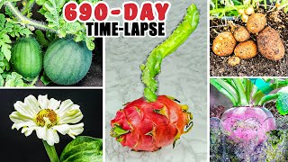 Plant Growing Time Lapse Compilation 690 Days in 9 Minutes [upl. by Airtened]