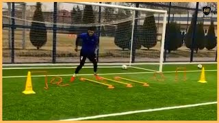 Professional Goalkeeper Training [upl. by Lemraj945]