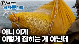 한 번도 아니고 그물 터지도록 쏟아지는 물고기에 어창도 터졌다｜기대도 못한 최악의 조업 그런데 풍어｜김장 김치 감칠맛을 더하다｜만선 까나리잡이｜음식｜먹방｜극한직업｜골라듄다큐 [upl. by Solorac972]