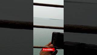 Farakka Barrage viralvideo india farakkabarrage [upl. by Holcman]