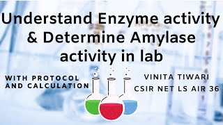 Enzyme activity  Alpha amylase activity determination in lab [upl. by Hametaf193]