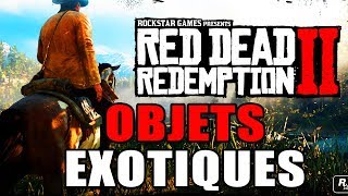 RED DEAD REDEMPTION 2  100  EMPLACEMENTS DE TOUS LES OBJETS EXOTIQUES Plumes  fleures [upl. by Rialb]