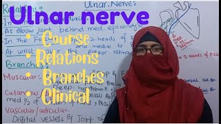 Ulnar nerve  course  branches  relations  ulnar claw hand  ayesha medical education [upl. by Dreddy618]