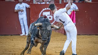 XXI CONCURSO DE RECORTES PERALES DE TAJUÑA MADRID 2024 [upl. by Malcah911]