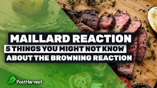 Maillard Reaction  5 Things You Might Not Know About The Browning Reaction [upl. by Shimberg]