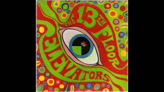 The 13th Floor Elevators  Reverberation 1966 [upl. by Haeluj]