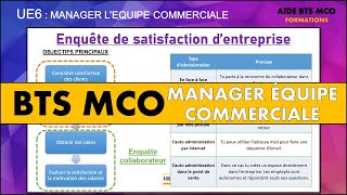 AIDE BTS MCO  Réaliser une enquête de satisfaction dans son équipe  U6 MANAGEMENT DEQUIPE [upl. by Guenevere]