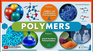 Polymers Unleashed Discover the Science Behind Everyday Materials [upl. by Narret]