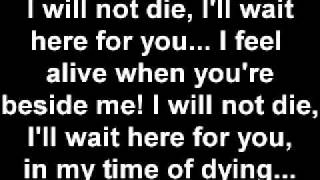 Three Days Grace  Time of Dying lyrics [upl. by Aldred]