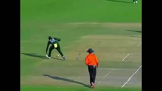 Pakistan fielding😅😂 babarazam viratkohli funnymoments pakvsuae cricket viral [upl. by Ebehp]