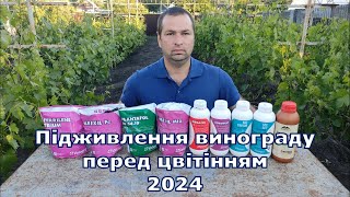 Підживлення винограду перед цвітінням 2024 [upl. by Anerat]