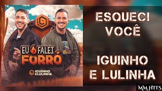 ESQUECI VOCÊ  Iguinho e Lulinha Áudio Oficial [upl. by Shields]