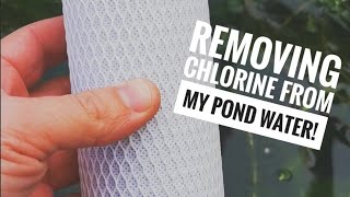 Removing chlorine from my pond water [upl. by Nerrak]