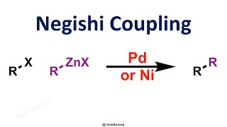 Negishi Coupling [upl. by Kifar]