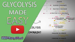 Glycolysis MADE EASY 2020  Carbohydrate Metabolism Simplified [upl. by Avner]