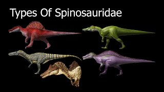 Types Of Spinosauridae [upl. by Broddie]