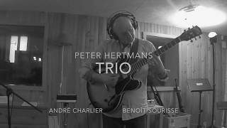 Peter Hertmans trio [upl. by Kcirrad305]