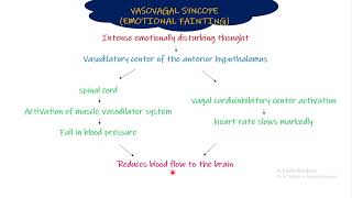 Vasovagal Syncope emotional fainting Chapter 18 part 4 Guyton and Hall Physiology [upl. by Ximenes]