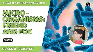 Microorganisms  Friend And Foe  Part 12  NCERT Science Class 8 Chapter 2  English Explanation [upl. by Natsuj379]