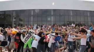 The Harlem Shake Best HD Compilation 2013 NEW Part 1 [upl. by Uon435]