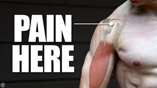 Biceps Tendinopathy  Tendinitis  Anterior Shoulder Pain Rehab Education amp Exercises [upl. by Ennayar413]