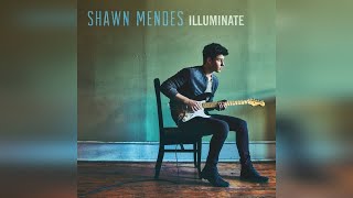 Shawn Mendes  Theres Nothing Holdin Me Back Official Audio [upl. by Oinotla]