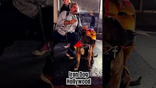 Iron Dog in Hollywood [upl. by Natala]