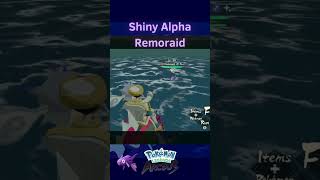 SHINY ALPHA REMORAID shorts shinypokemonhunter pokemonlegendsarceus shinypokemon pokemon [upl. by Shoshanna]