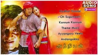 Anniyan  Anniyan songs  Anniyan full songs  Vikram songs  Harris Jayaraj hits  Shankar Movie [upl. by Housum]