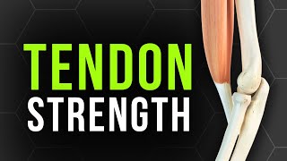 How to Really Strengthen Your Tendons  The 70 Rule [upl. by Eiveneg]