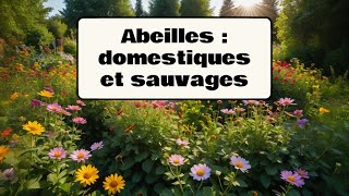 Abeilles domestiques et sauvages [upl. by Nicol187]