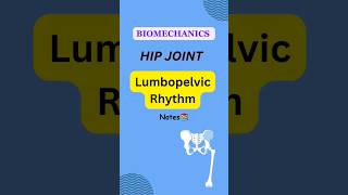 Lumbopelvic Rhythm Notes📚 Hip joint BIOMECHANICS💥 physiotherapy justchill biomechanics note [upl. by Ahtennek76]