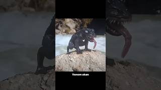 Venom jadi katak animals [upl. by Aramak]