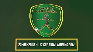 Gaynor Tournament U12 Cup Final winning goal [upl. by Cott]