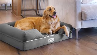 The 6 Best Dog Beds 2024 [upl. by Ruthe372]