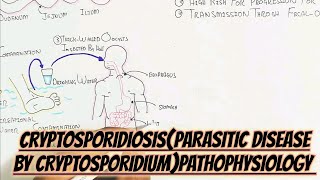 CryptosporidiosisCryptosporidium Cycle Pathophysiology umerfarooqbiology7083 [upl. by Hanah]