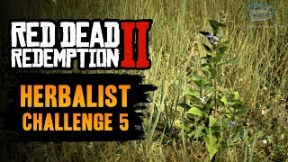 Red Dead Redemption 2 Herbalist Challenge 5 Guide  Craft 9 items using Indian Tobacco [upl. by Arol]