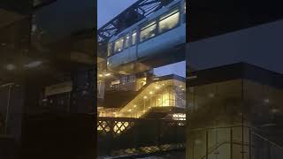 Запомни твоямечтатвояреальность шутки herbs wuppertal schwebebahn [upl. by Hahsi]