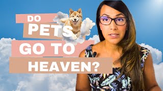 Do pets go to heaven what is a pets life purpose [upl. by Nylirad]