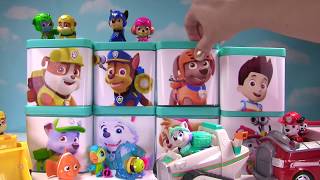 Huge PAW PATROL Surprise Blind Boxes Show [upl. by Ylecara]