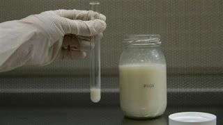 Cows Milk Found in Breast Milk Sold Online [upl. by Anirok]