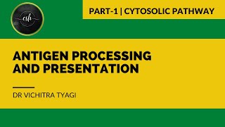 ANTIGEN PROCESSING AND PRESENTATION PART1 CYTOSOLIC PATHWAY [upl. by Kerman]