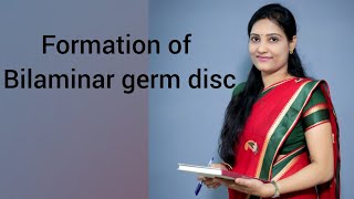 Formation of bilaminar germ disc and development of Blastocyst [upl. by Nessej]