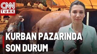 Arife Günü Kurban Pazarı Yoğun Mu Kurban Fiyatında Arife İndirimi Var Mı [upl. by Pinter346]