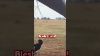 Blesbok hunt with 300 win mag [upl. by Pancho]