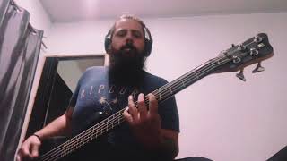 Deshacer el Mundo  Heroes del Silencio bass cover [upl. by Magnum]