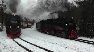 Dampflok 99 5906 mit PmG  Freundeskreis Selketalbahn WinterSonderfahrt [upl. by Verada]